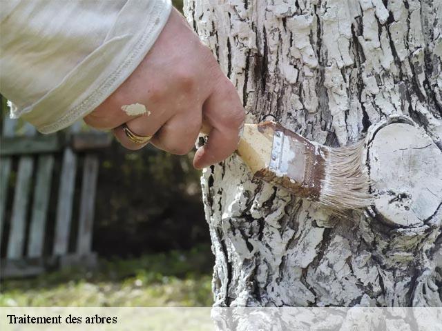 Traitement des arbres Marne 