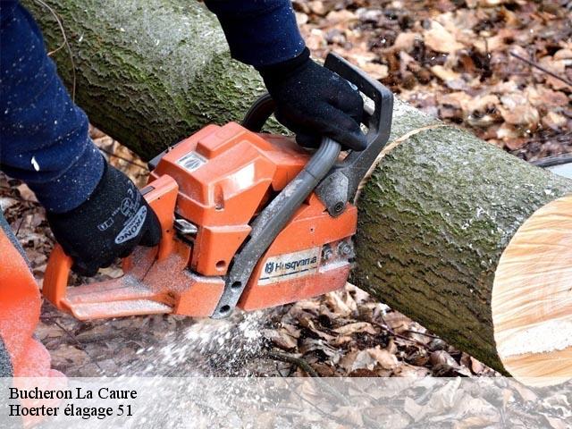 Bucheron la-caure-51270 Hoerter élagage 51