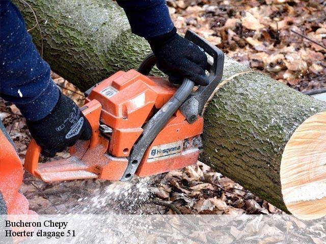 Bucheron chepy-51240 Hoerter élagage 51