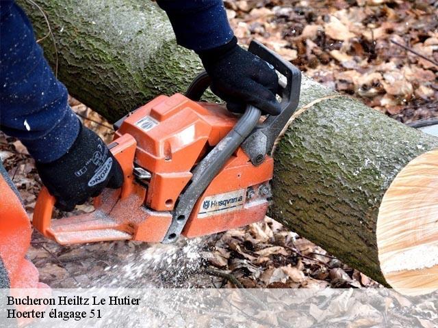 Bucheron  heiltz-le-hutier-51300 Hoerter élagage 51