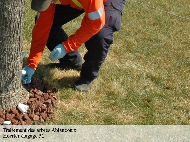 Traitement des arbres  ablancourt-51240 Hoerter élagage 51