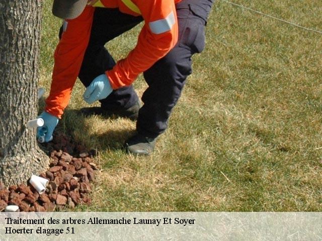 Traitement des arbres  allemanche-launay-et-soyer-51260 Hoerter élagage 51