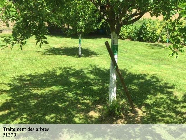 Traitement des arbres 51270