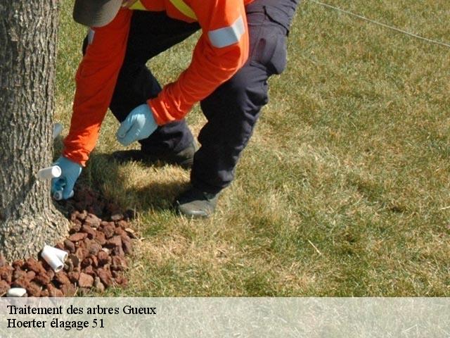 Traitement des arbres  gueux-51390 Hoerter élagage 51