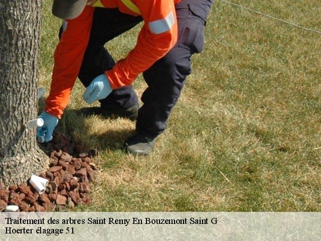Traitement des arbres  saint-remy-en-bouzemont-saint-g-51290 Hoerter élagage 51