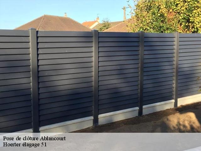 Pose de clôture  ablancourt-51240 Hoerter élagage 51