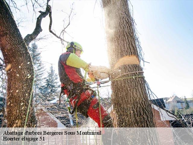Abattage d'arbres  bergeres-sous-montmirail-51210 Hoerter élagage 51