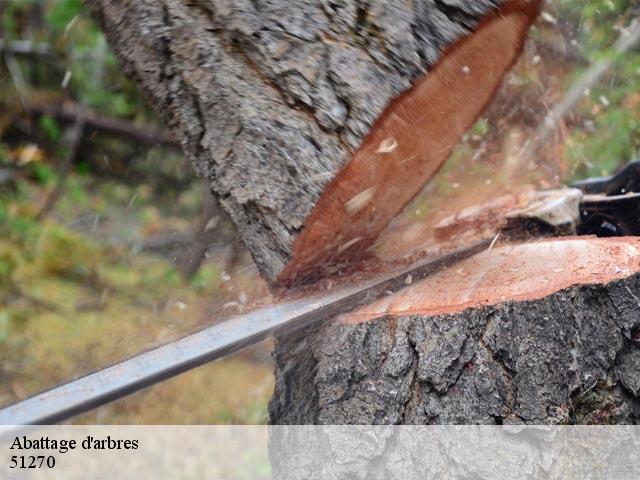 Abattage d'arbres 51270