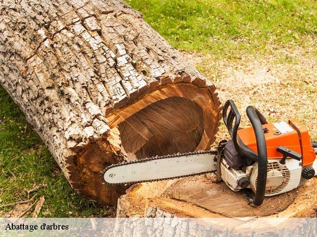 Abattage d'arbres 51270
