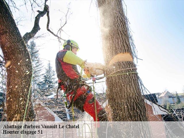 Abattage d'arbres vanault-le-chatel-51330 Hoerter élagage 51