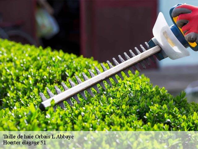 Taille de haie orbais-l-abbaye-51270 Hoerter élagage 51