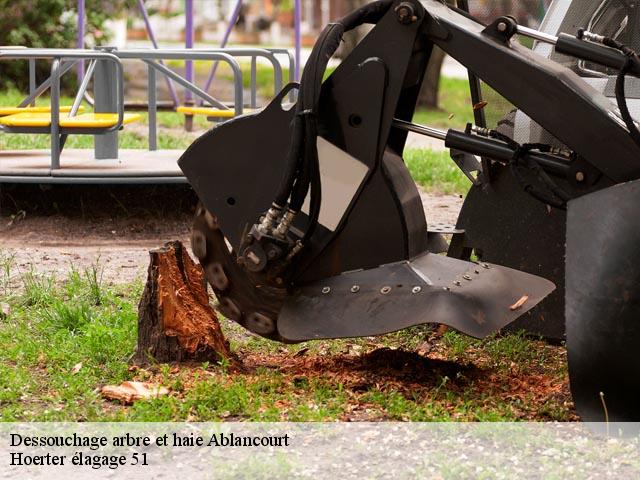 Dessouchage arbre et haie  ablancourt-51240 Hoerter élagage 51