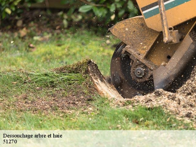 Dessouchage arbre et haie 51270