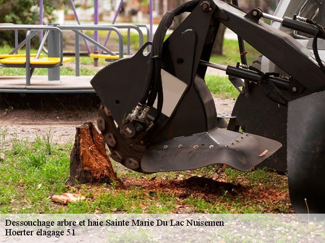 Dessouchage arbre et haie  sainte-marie-du-lac-nuisemen-51290 Hoerter élagage 51