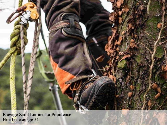 Elagage saint-lumier-la-populeuse-51340 Hoerter élagage 51