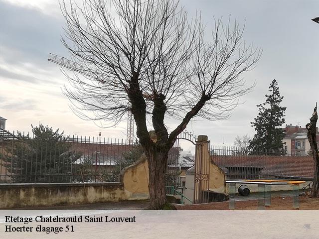 Etetage chatelraould-saint-louvent-51300 Hoerter élagage 51