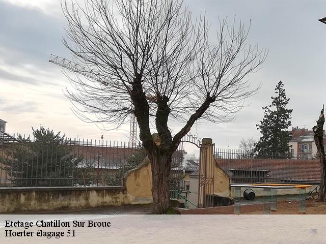 Etetage chatillon-sur-broue-51290 Hoerter élagage 51