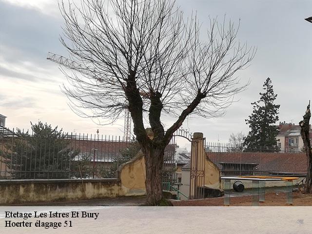 Etetage  les-istres-et-bury-51190 Hoerter élagage 51