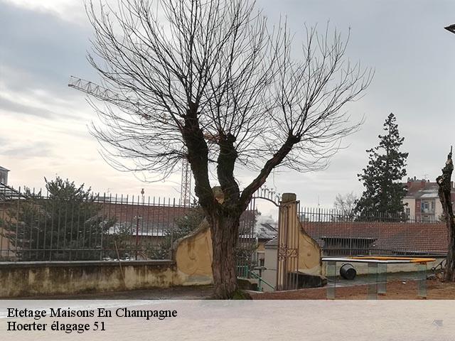 Etetage  maisons-en-champagne-51300 Hoerter élagage 51