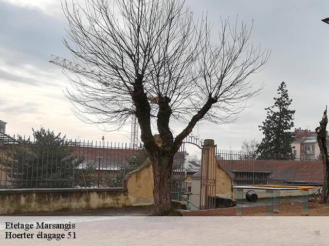 Etetage marsangis-51260 Hoerter élagage 51