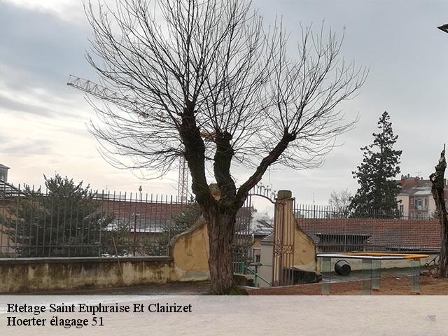 Etetage  saint-euphraise-et-clairizet-51390 Hoerter élagage 51