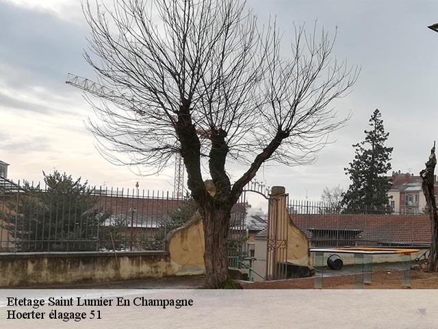Etetage  saint-lumier-en-champagne-51300 Hoerter élagage 51