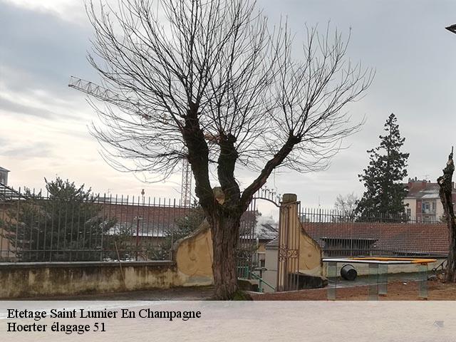 Etetage saint-lumier-en-champagne-51300 Hoerter élagage 51