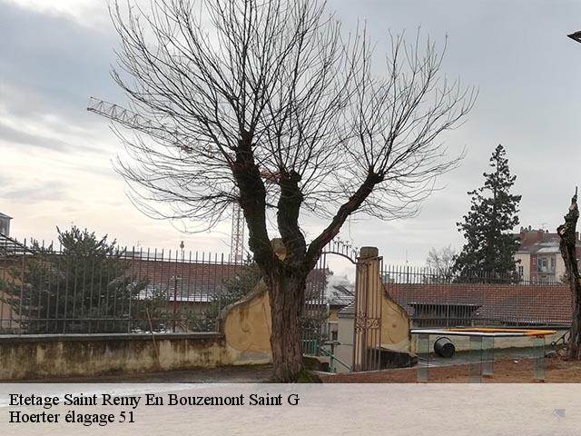 Etetage saint-remy-en-bouzemont-saint-g-51290 Hoerter élagage 51