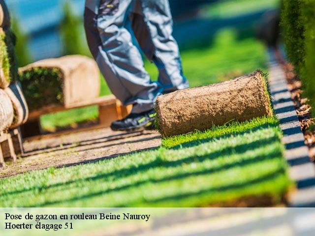 Pose de gazon en rouleau  beine-nauroy-51490 Hoerter élagage 51